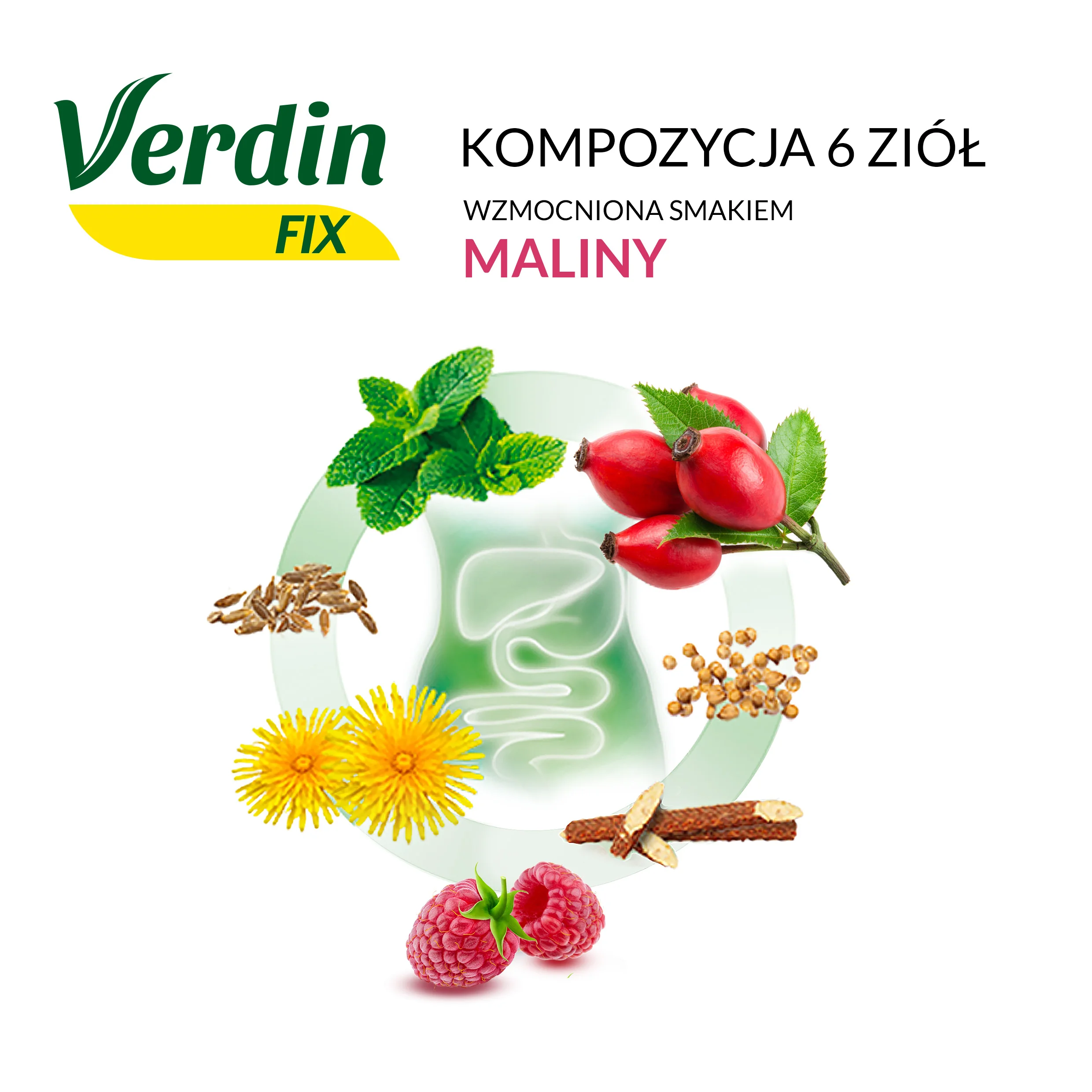 Verdin FIX z Maliną suplement diety, 20 saszetek