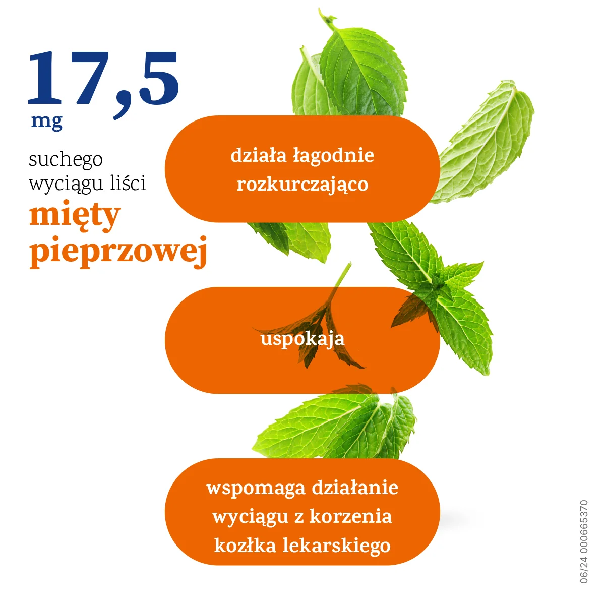 Persen Forte 20 kapsułek