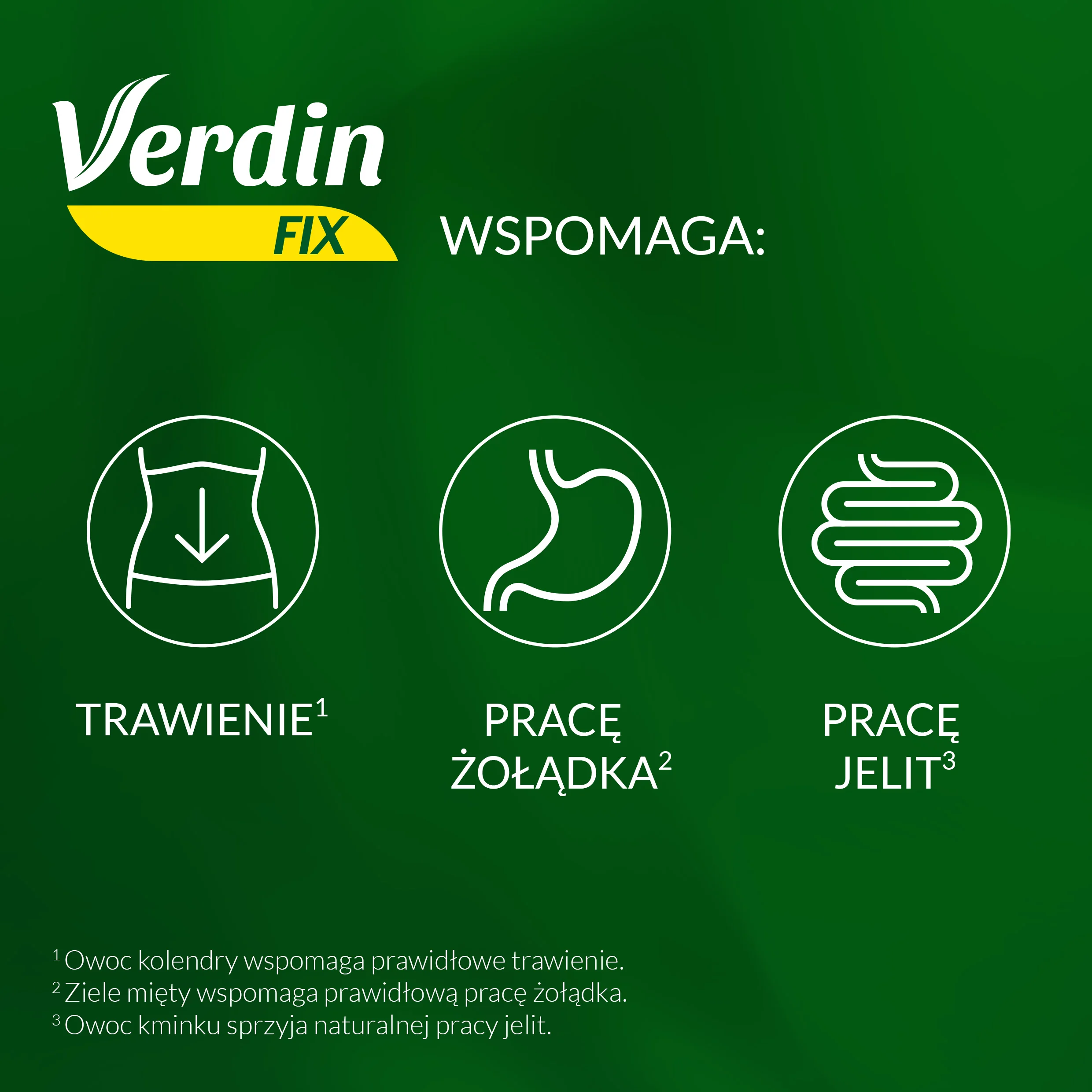 Verdin FIX z Owocami Leśnymi suplement diety, 20 saszetek