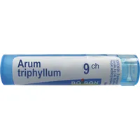 Boiron Arum triphyllum 9 CH, granulki, 4 g