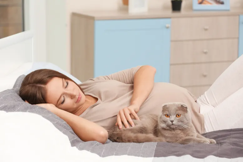 kontakt z kotami w ciąży