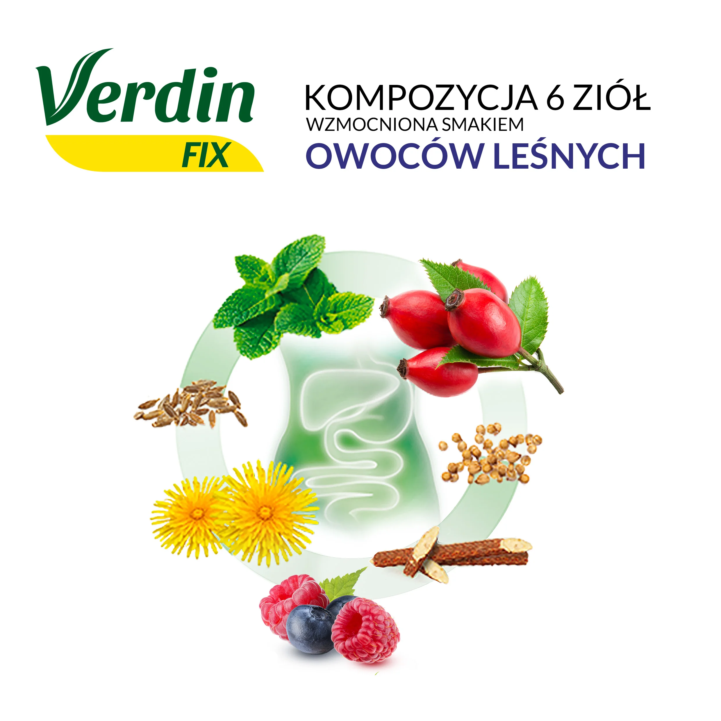 Verdin FIX z Owocami Leśnymi suplement diety, 20 saszetek