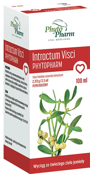 Intractum Visci Phytopharm, 2,313g/2,5ml, płyn doustny, 100 ml