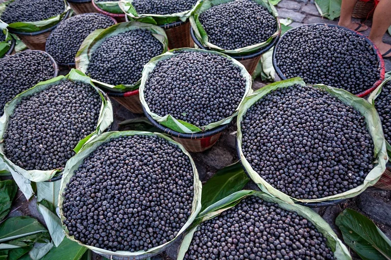 Acai antyoksydant