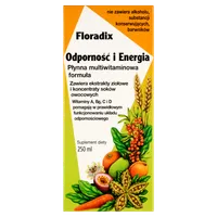 Floradix Odporność i Energia, suplement diety, 250 ml