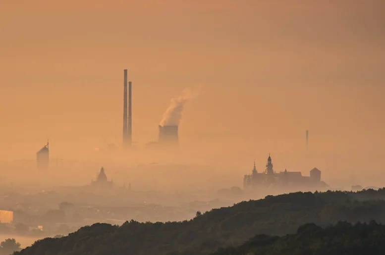 Rośliny oczyszczające powietrze i inne sposoby jak chronić się przed smogiem