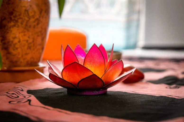 lotus lotus