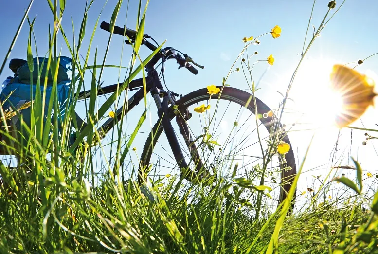 „Wiosenne kolano” a ból kolan po jeździe na rowerze