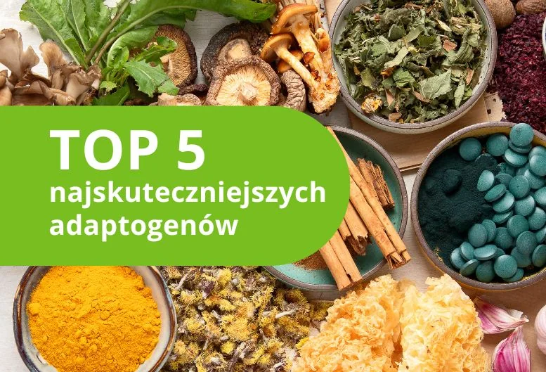 Najskuteczniejsze adaptogeny – ranking 2026