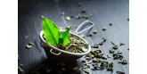 Czy zielona herbata na odchudzanie faktycznie pomaga? Sprawdź, jak jej właściwości odchudzające wpływają na redukcję wagi!