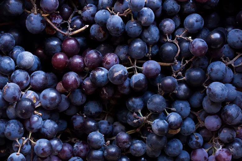 Winogrona − właściwości odżywcze i ich rola w diecie