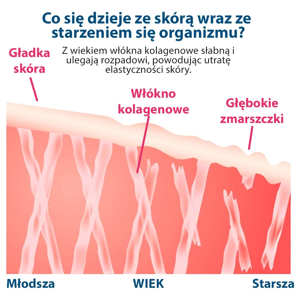 Collagen Drink infografika