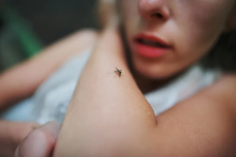 Co na ugryzienie komara? Czyli domowe sposoby na swędzące bąble