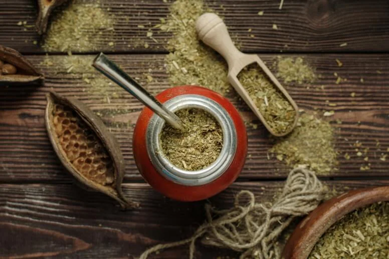 Yerba mate – właściwości zdrowotne, skutki uboczne i przeciwwskazania